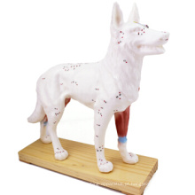 Compre um 12005 Animal Dog, Half Acupuncture e Half Anatomy Model Anatomical Dog